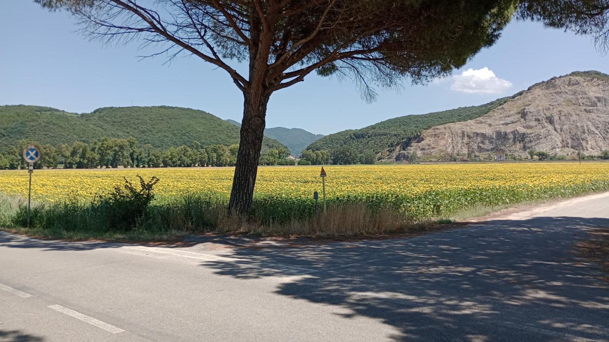 Casa Vacanze Toscana,Lago Di Массачукколи Экстерьер фото